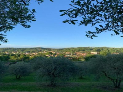 Holiday house Capannori Verspieltes Cottage - Environment photo 33