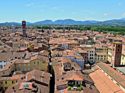 Cottage Charming Mansion in Lucca - Environment photo 19