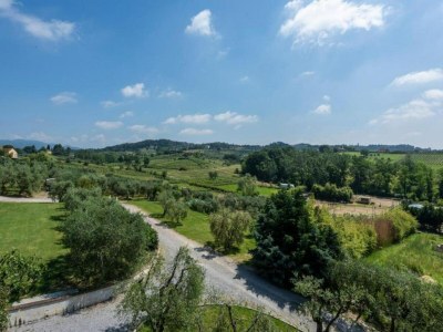 Cottage Charming Mansion in Lucca - Environment photo 33