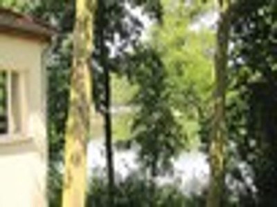 Holiday house Ferienhaus am Vordersee, Dobbrikow in Nuthe-Urstromtal - Holiday house