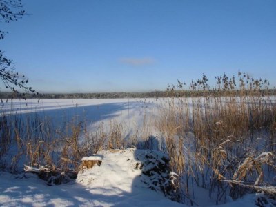 Holiday house Teupitz Lakeside Escape - Environment photo 34