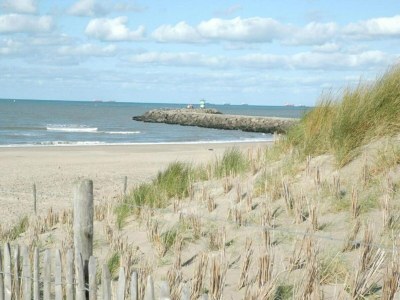 Apartment Strandurlaub in Scheveningen - Environment photo 29