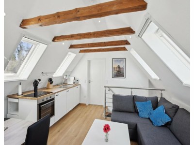 Apartment Ferienhaus fuer 10 Personen, Schneverdingen - Features photo 18