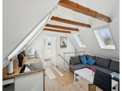 Apartment Ferienhaus fuer 10 Personen, Schneverdingen - Features photo 19
