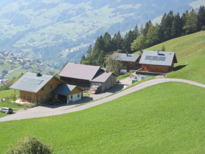 Holiday apartment Almrausch Holiday Apartment - Haus Burgl - Outdoor photo 3