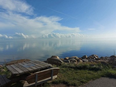 Holiday house Tranquil Retreat in Ringkobing - By Traum Ferienwohnungen - Outdoor photo 38