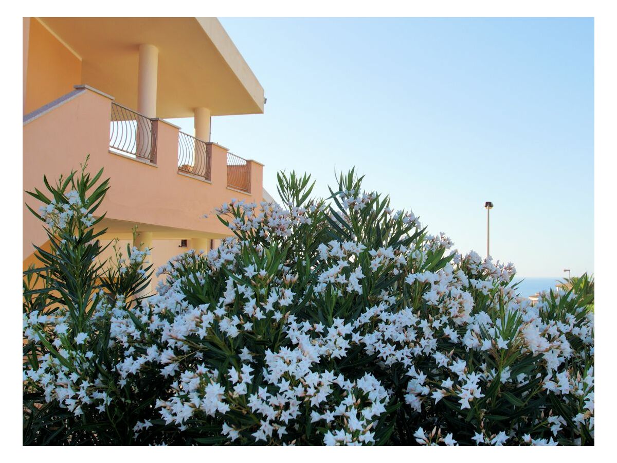 Holiday apartment Residence Solevacanze Type L plus - Outdoor photo 3