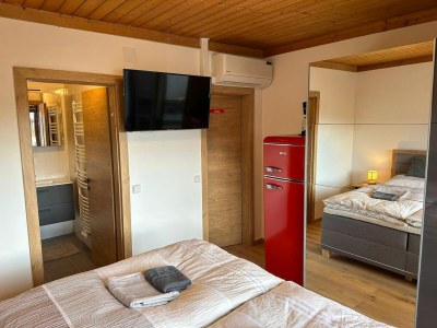 Apartment Double room in Saalfelden near Ski Slopes - Features photo 5