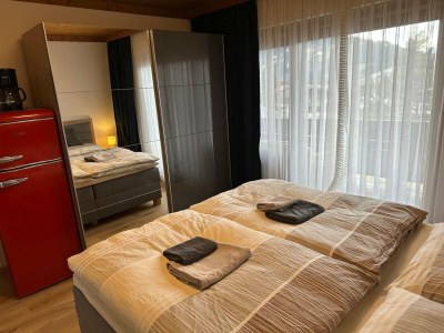 Apartment Double room in Saalfelden near Ski Slopes - Features photo 7