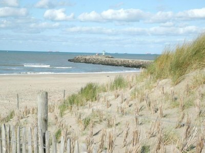 Holiday house Wohnung im Zeeheldenkwartier - Environment photo 21