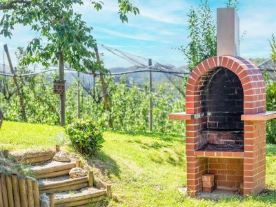 Holiday house Holiday Home in Styria near Thermal Spas - Outdoor photo 7