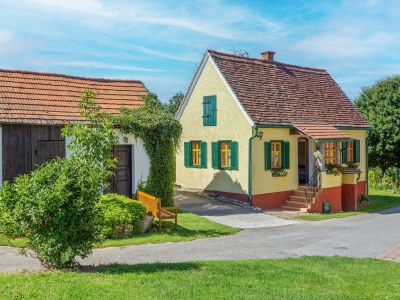 Holiday house Holiday Home in Styria near Thermal Spas - Outdoor photo 14