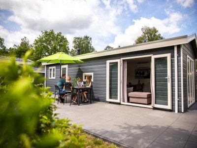 Holiday house Chalet in Niederlande mit Terrasse - Holiday house