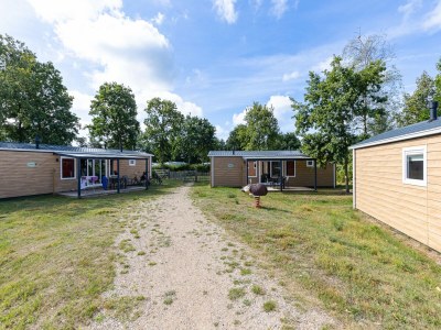 Holiday house Villa in Burgh-Haamstede with Garden - Outdoor photo 82