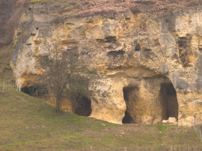 Holiday house Chalet in Bemelen am Bemelerberg - Environment photo 15