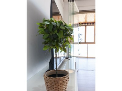 Apartment 10. AG BERMUDAS 6A PREMIUM - Features photo 37