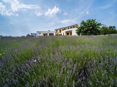 Villa Villa in Filipana with Private Heated Pool - Outdoor photo 9