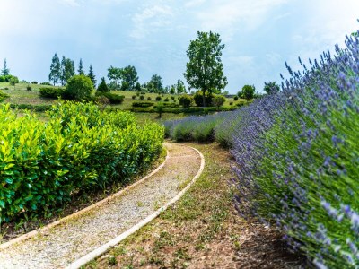 Villa Villa in Filipana with Private Heated Pool - Outdoor photo 17