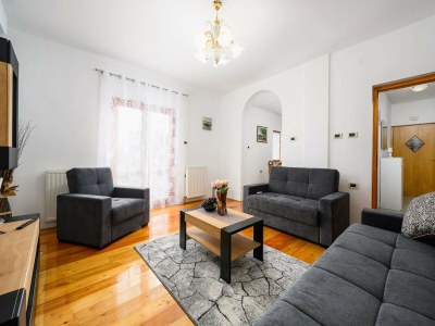 Apartment Spacious Apartment in Markoci - Features photo 15