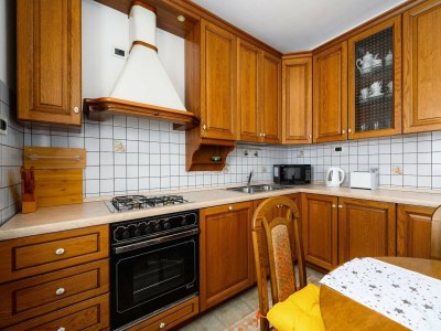 Apartment Spacious Apartment in Markoci - Features photo 25