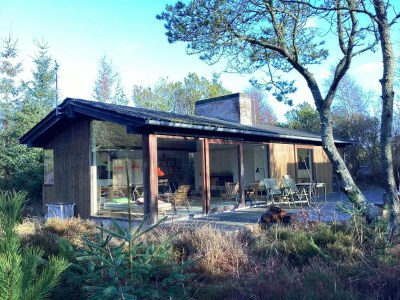 Holiday house 4 star holiday home in Ålbæk in Bunken - Holiday house
