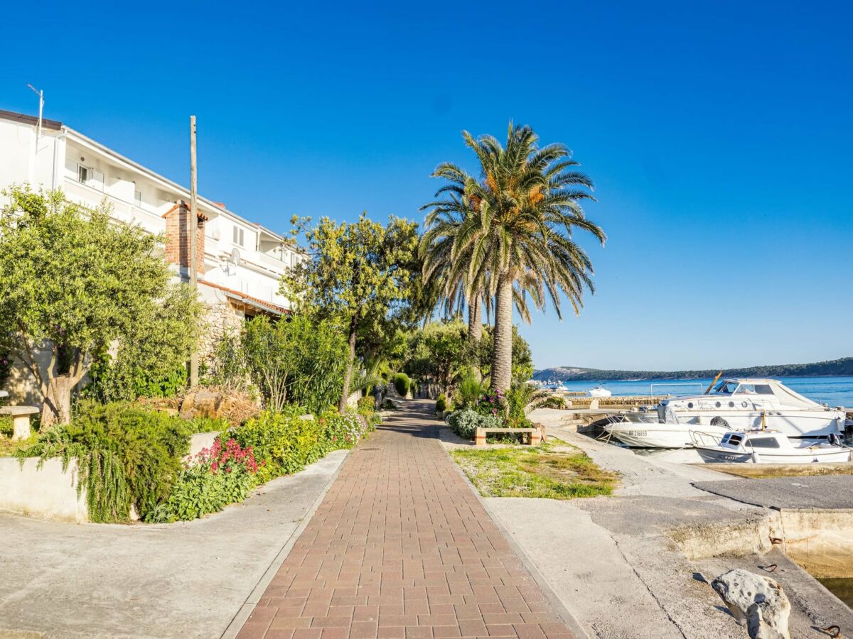 Apartment Sea View Apartment in Barbat - Outdoor photo 2