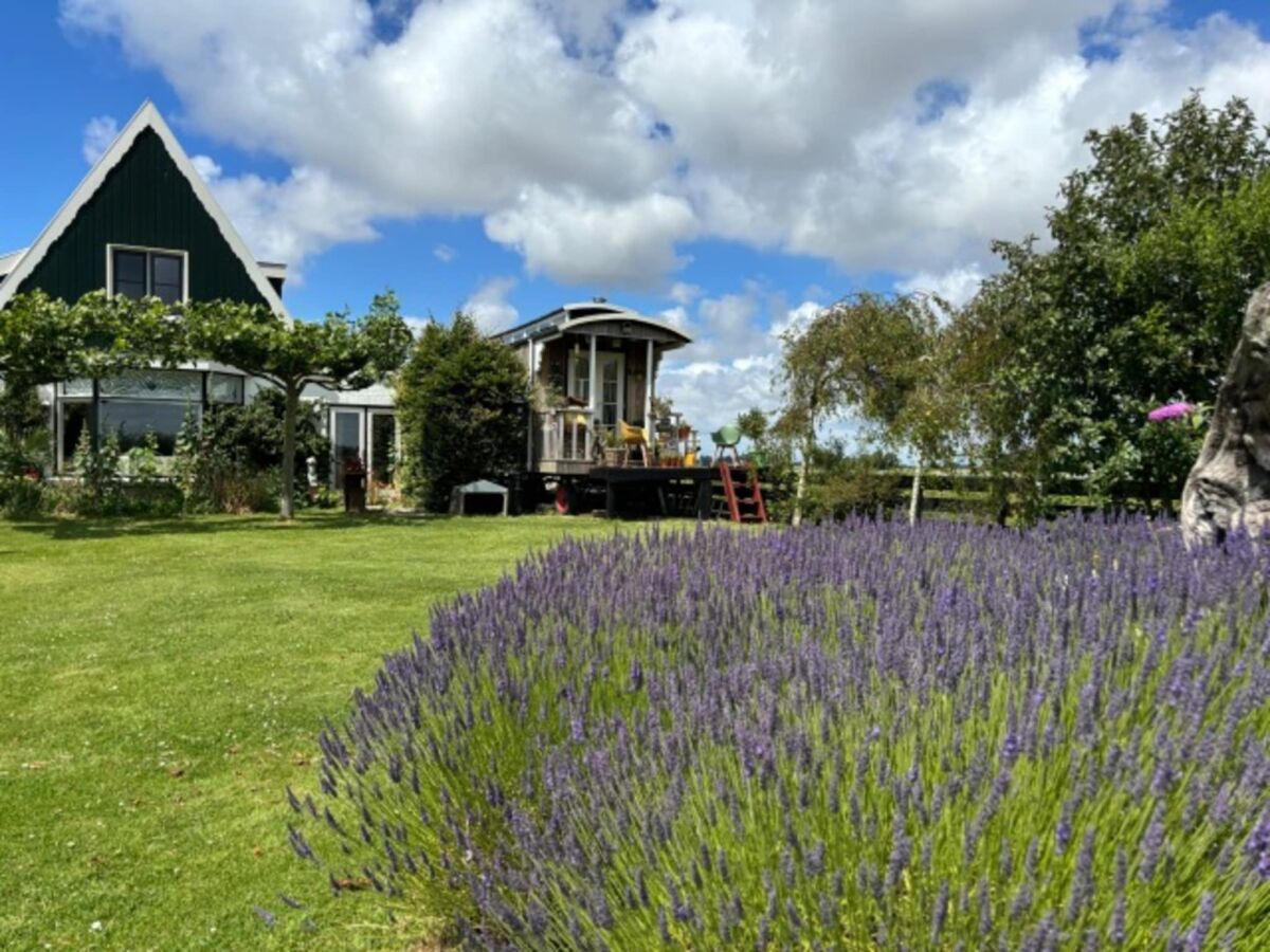 Holiday house Kleines Haus in 't Zand nahe Strand und Wald