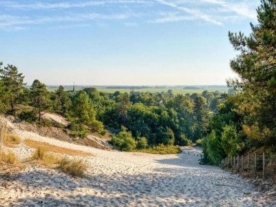 Holiday house Kleines Haus in 't Zand nahe Strand und Wald - Environment photo 25