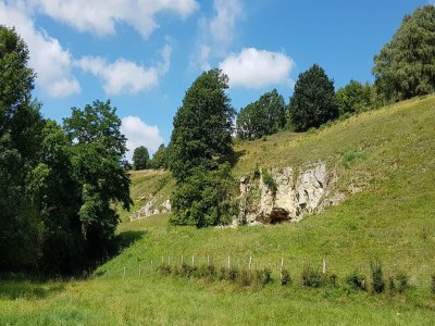 Holiday house Chalet in Bemelen near Bemelerberg Reserve - Environment photo 20