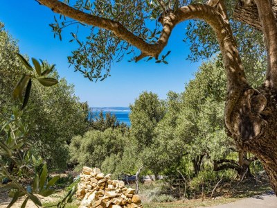 Apartment Apartment in Supetarska Draga near Sandy Beach - Outdoor photo 2