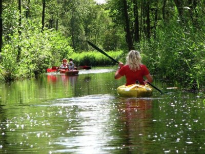 Holiday park Ferienhaus im Wald am Teich für 6 Von Belvilla - Environment photo 23