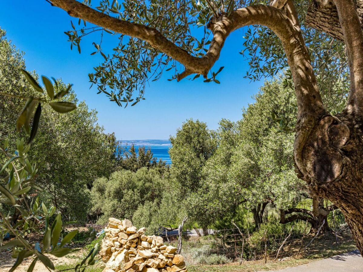 Apartment Wohnung in Supetarska Draga am Sandstrand - Outdoor photo 4