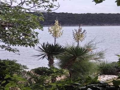 House boat Apartment in Supetarska Draga by the Beach - Environment photo 42