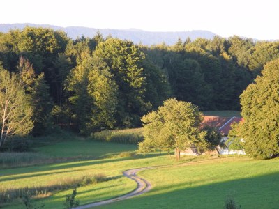 Holiday apartment Gawlik - Environment photo 14