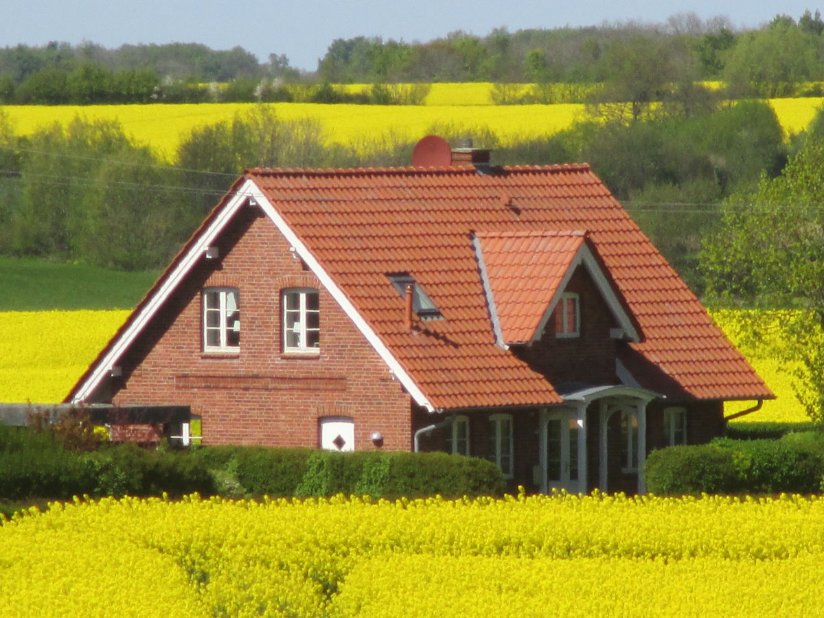 Cottage Högelia