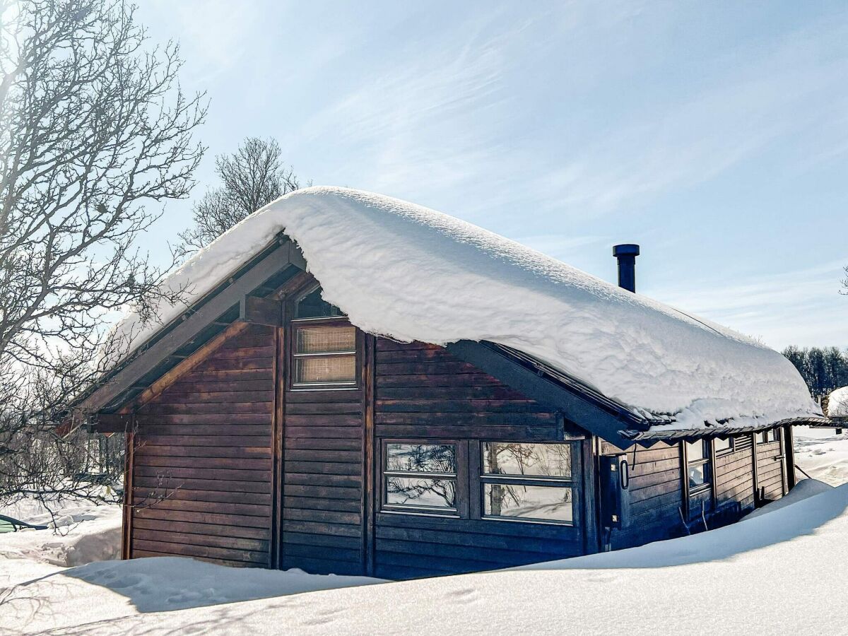 Holiday house 4 Sterne Ferienhaus in Ål