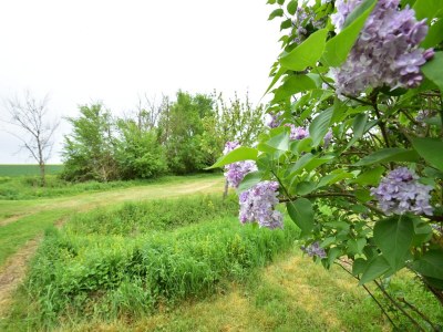 Farmhouse Bauernhaus in Giroux nahe Wald und See - Environment photo 41