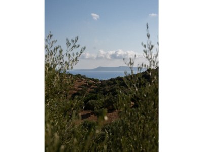 Villa Epicurean Retreat - Environment photo 19