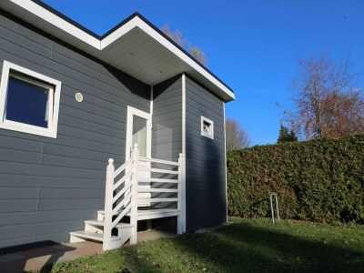 Holiday house Detached chalet for 5 people in Terwolde - Holiday house