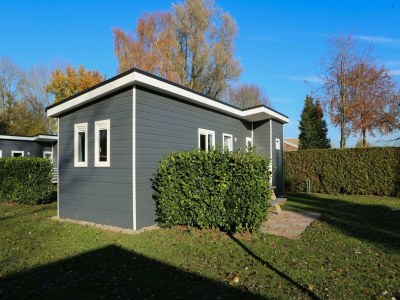 Holiday house Detached chalet for 5 people in Terwolde - Outdoor photo 3