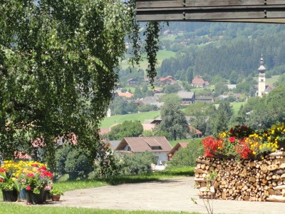 Holiday apartment Landhaus Bonaventura - Environment photo 18
