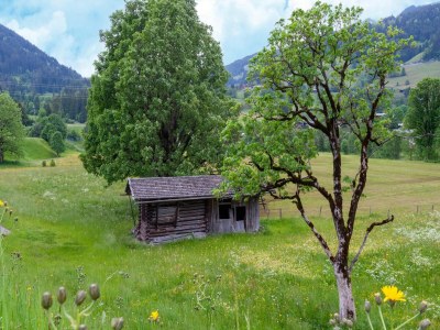 Apartment Apartment in Tyrol near Kitzbühel - Outdoor photo 6