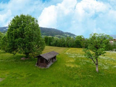 Holiday house Ferienwohnung in Tirol in der Nähe von Kitzbühel - Outdoor photo 3