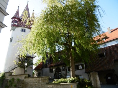 Holiday apartment Adlerhorst - Outdoor photo 7