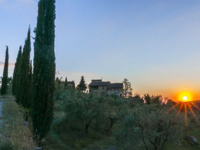 Apartment La Scaletta della Rocca in Chianti - Environment photo 22