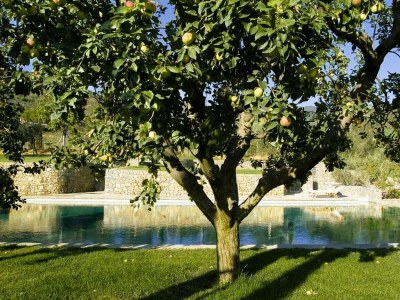 Villa Villa Olivo in most Exclusive Borgo in Tuscany - Environment photo 42