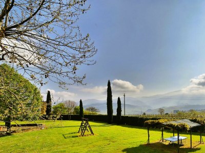 Apartment Fattoria del Chianti close to Florence for four - Environment photo 24
