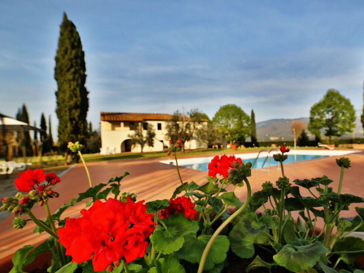 Apartment Fattoria del Chianti close to Florence for six - Outdoor photo 3