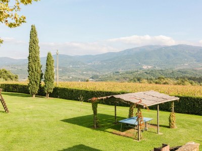 Apartment Fattoria del Chianti close to Florence for six - Environment photo 29