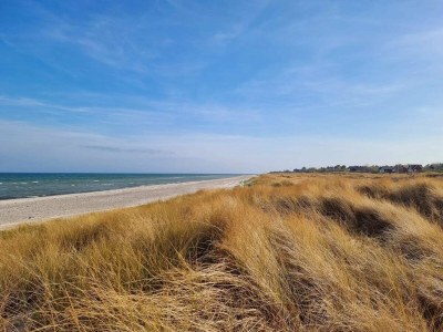 Holiday house 6 person holiday home in Grenaa - Outdoor photo 42